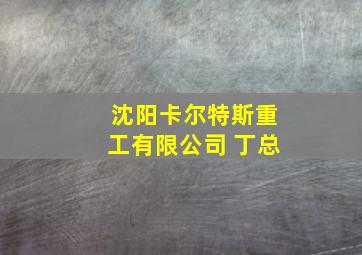 沈阳卡尔特斯重工有限公司 丁总